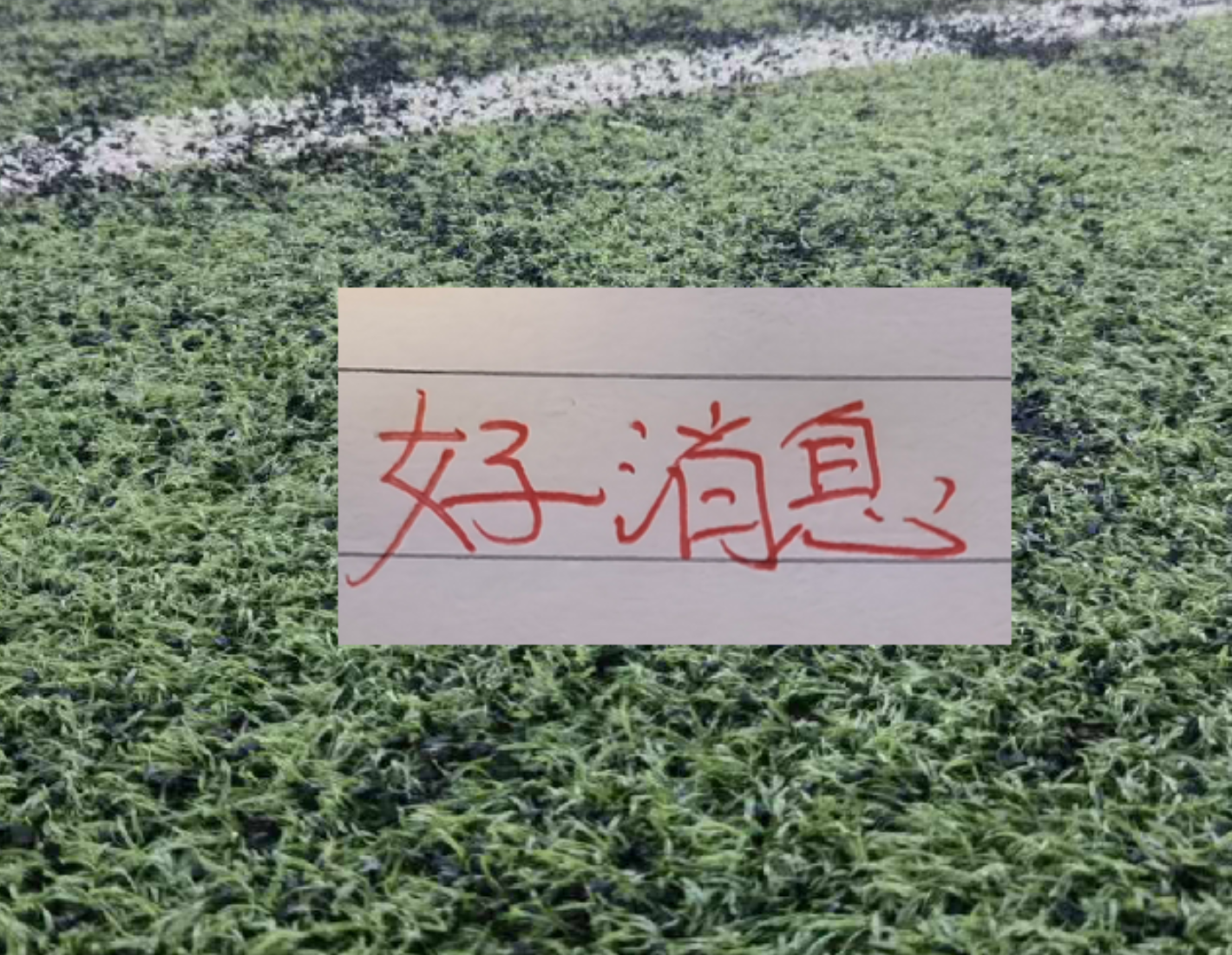 拉杜卡努晋级女王赛决赛致谢团队