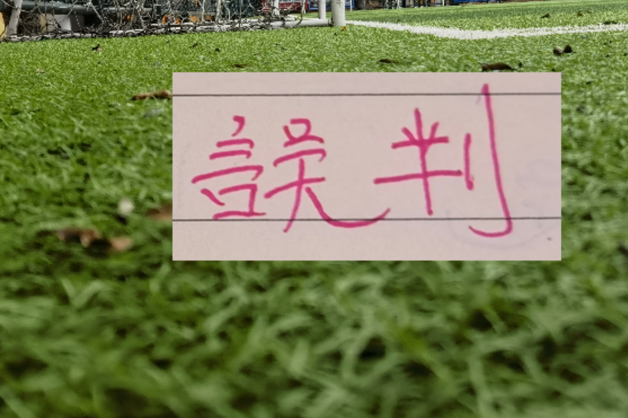 瑞士造点前疑似越位未给划线图,FIFA称为技术故障且并不越位