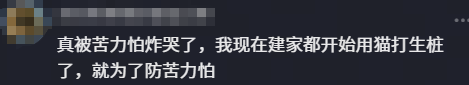 同为5亿俱乐部成员，詹杜库哈谁最实至名归呢？